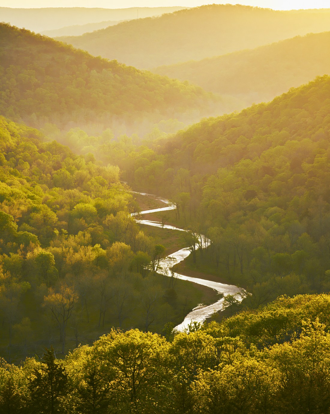 Green Ozark hills in warm golden light, a creek winding down the valley.